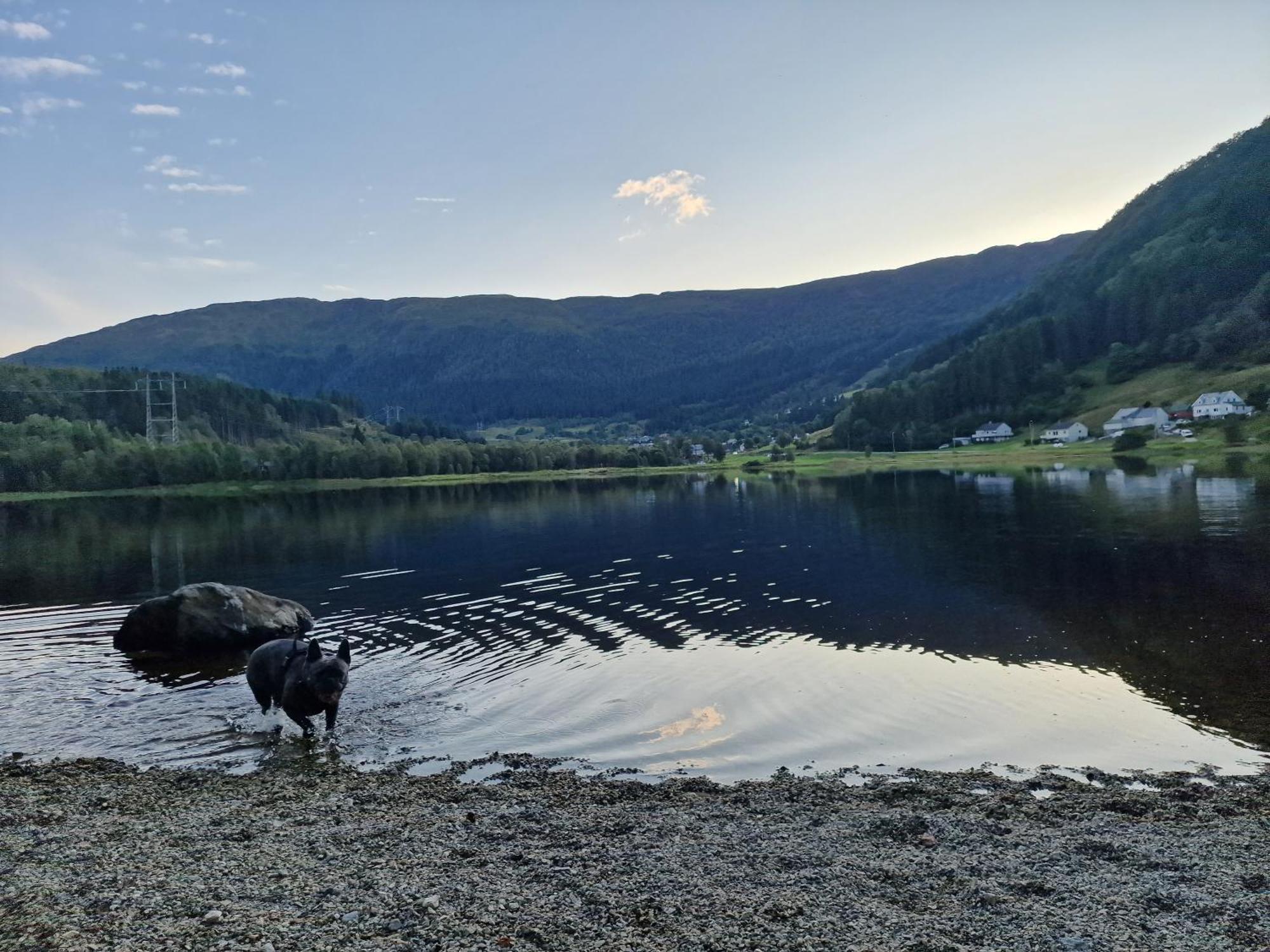 Ks Near Leilighet Bergen